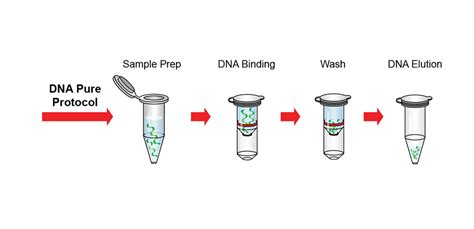 dna isolation kit|DNA .